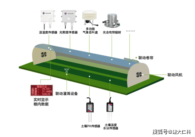 由“冰墩墩”引发的思考：21世纪的智能时代